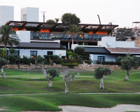 Nueva construcción  - detached - Peraleja Golf