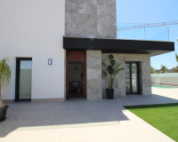 Nueva construcción  - detached - Pilar de la Horadada