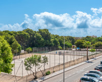 Nueva construcción  - detached - Pilar de la Horadada