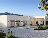 Nueva construcción  - detached - Pinoso