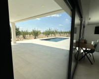 Nueva construcción  - detached - Pinoso