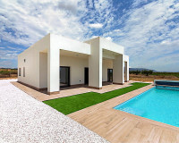 Nueva construcción  - detached - Pinoso