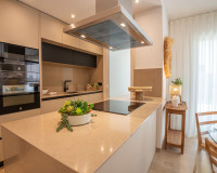 Nueva construcción  - high-bungalow - Algorfa