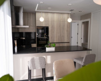 Nueva construcción  - high-bungalow - Pilar de la Horadada