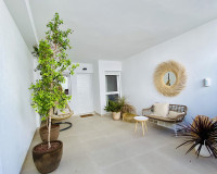 Nueva construcción  - low-bungalow - Pilar de la Horadada