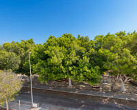Nueva construcción  - Villa - Pilar de la Horadada