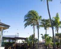 Nueva construcción  - Villa - San Pedro del Pinatar - San Pedro de Pinatar