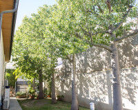 Nueva construcción  - Villa - San Pedro del Pinatar - San Pedro de Pinatar