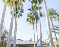 Nueva construcción  - Villa - San Pedro del Pinatar - San Pedro de Pinatar