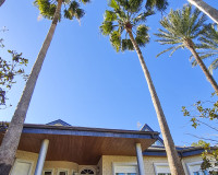 Nueva construcción  - Villa - San Pedro del Pinatar - San Pedro de Pinatar