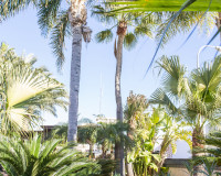 Nueva construcción  - Villa - San Pedro del Pinatar - San Pedro de Pinatar