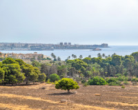 Objekte zum Wiederverkauf - - APARTMENT - Torrevieja - TORREVIEJA