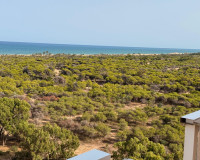 Objekte zum Wiederverkauf - Ático Dúplex - Guardamar del Segura