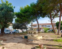 Objekte zum Wiederverkauf - Bungalow Planta Baja - Torrevieja - TORREVIEJA