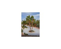 Objekte zum Wiederverkauf - Finca/Country Property - Catral