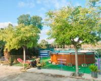 Objekte zum Wiederverkauf - Finca - Elche Pedanías - Elche/Elx