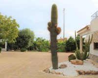 Objekte zum Wiederverkauf - Haus - Elche - Elche/Elx