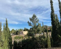Objekte zum Wiederverkauf - Haus - Fuente Álamo de Murcia - Fuente Alamo
