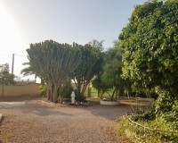 Objekte zum Wiederverkauf - Landhaus - Elche Pedanías - Elche/Elx