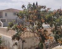 Objekte zum Wiederverkauf - Landhaus - Fortuna - Murcia