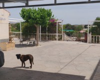 Objekte zum Wiederverkauf - Landhaus - Fortuna - Murcia