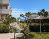 Objekte zum Wiederverkauf - Penthouse - Torrevieja - Los Europeos