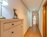 Objekte zum Wiederverkauf - Penthouse - Torrevieja - TORREVIEJA