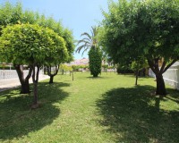 Objekte zum Wiederverkauf - Villa / Doppelhaushälfte - Torrevieja - TORREVIEJA