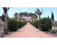 Objekte zum Wiederverkauf - Villa freitstehend - Elche Pedanías - Elche/Elx