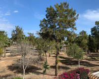 Objekte zum Wiederverkauf - Villa freitstehend - Guardamar del Segura