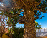 Objekte zum Wiederverkauf - Villa freitstehend - La Siesta - El Salado - Torreta - La Siesta