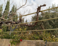 Objekte zum Wiederverkauf - Villa freitstehend - Murcia