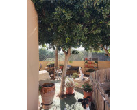 Objekte zum Wiederverkauf - Villa freitstehend - Orihuela Costa