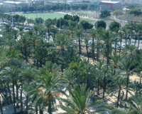 Objekte zum Wiederverkauf - Wohnung - Elche - Elche/Elx