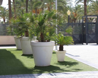 Objekte zum Wiederverkauf - Wohnung - Elche - Elche/Elx