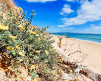 Objekte zum Wiederverkauf - Wohnung - Guardamar del Segura