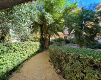 Objekte zum Wiederverkauf - Wohnung - La Mata