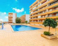 Objekte zum Wiederverkauf - Wohnung - Torrevieja - Rocio del mar