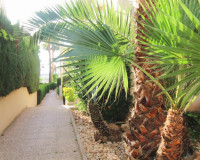 Objekte zum Wiederverkauf - Wohnung - Torrevieja - TORREVIEJA