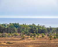 Objekte zum Wiederverkauf - Wohnung - Torrevieja - TORREVIEJA