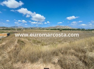 Parcela / Terreno - Venta - Hondón de las Nieves - Hondón de las Nieves