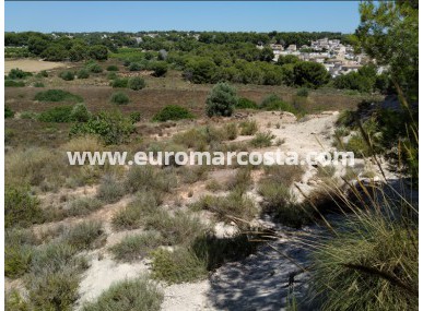 Parcela / Terreno - Venta - Pinar de Campoverde - Pinar de Campoverde