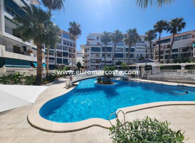 Penthouse · Objekte zum Wiederverkauf · La Mata · La Mata