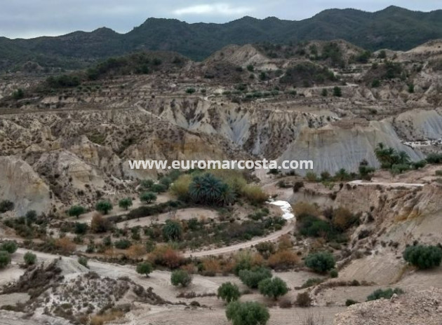 Plot / Land · Sale · Abanilla · Abanilla