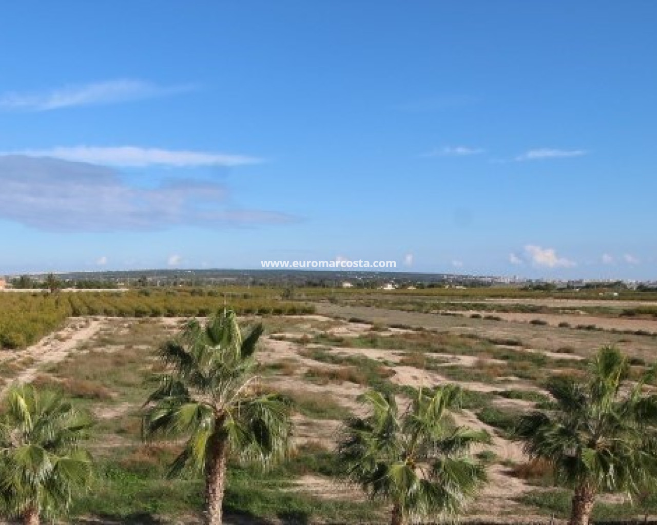 Plot / Land · Sale · Elche Pedanías · 4406