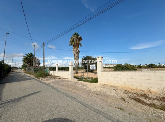 Plot / Land · Sale · Guardamar del Segura · Guardamar del Segura