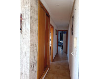 Sale - Apartment / flat - Almoradi - Center