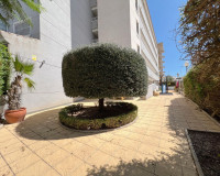 Sale - Apartment / flat - Guardamar del Segura