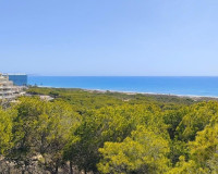 Sale - Apartment / flat - Guardamar del Segura
