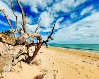 Sale - Apartment / flat - Guardamar del Segura